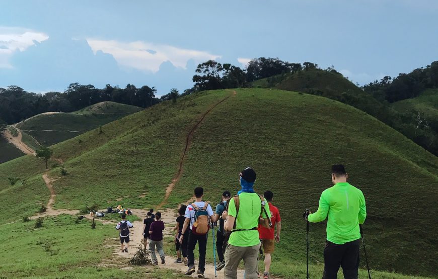 Tìm về thiên nhiên mang đến cho con người vô vàn lợi ích