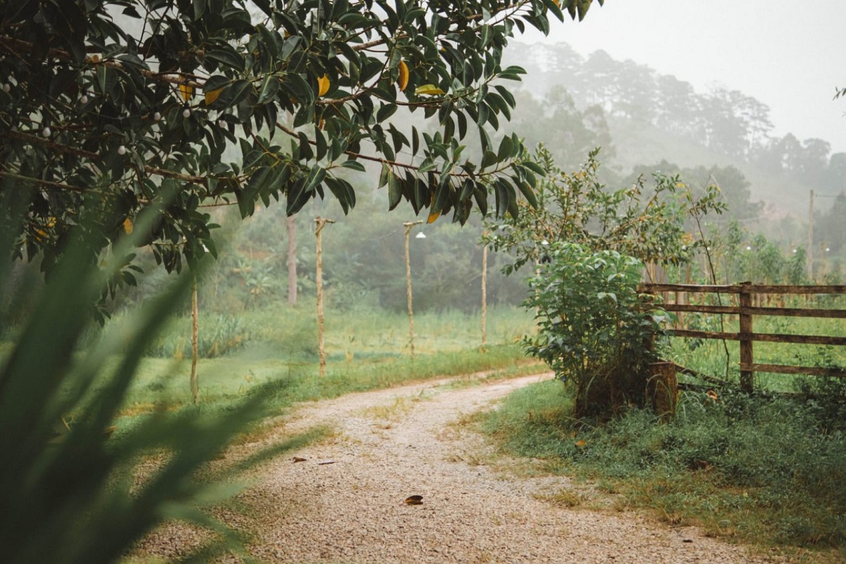 Cắm trại Đà Lạt