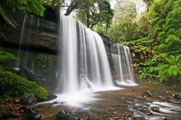 11Tour cắm trại Đà Lạt