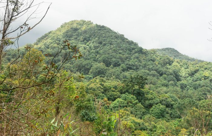 11Trekking Langbiang Đà Lạt