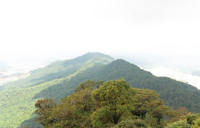 11Trekking Langbiang Đà Lạt