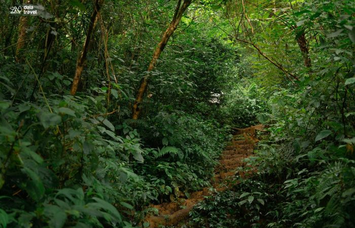 11Trekking Langbiang Đà Lạt