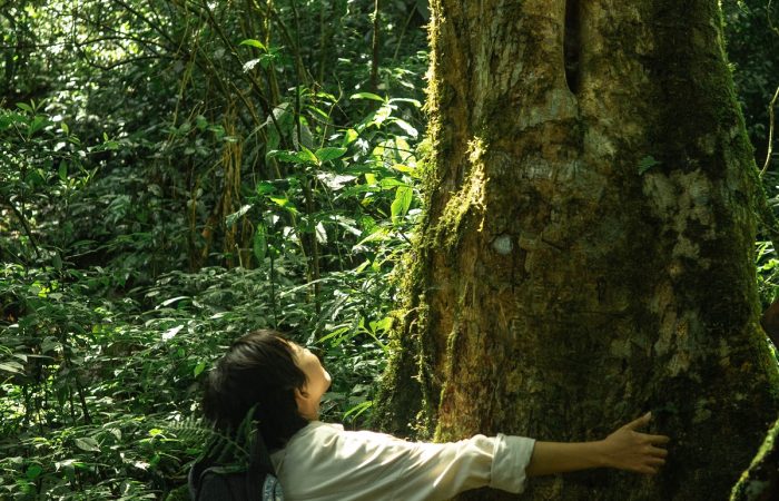 11Trekking Langbiang Đà Lạt