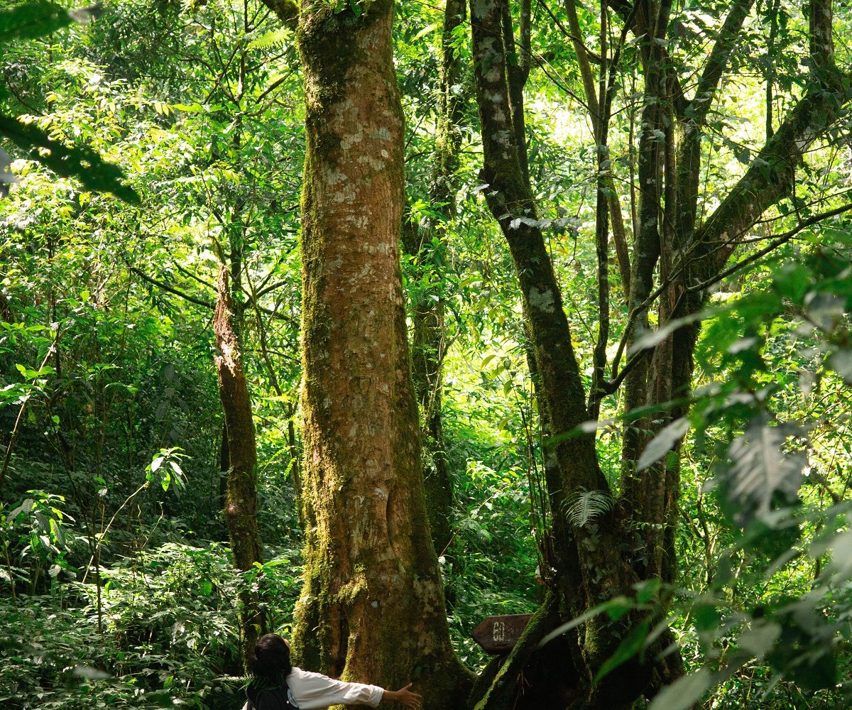 11Trekking Langbiang Đà Lạt