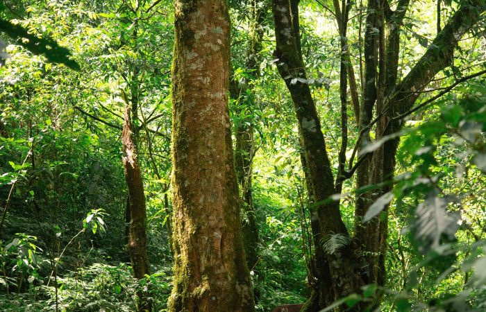 11Trekking Langbiang Đà Lạt