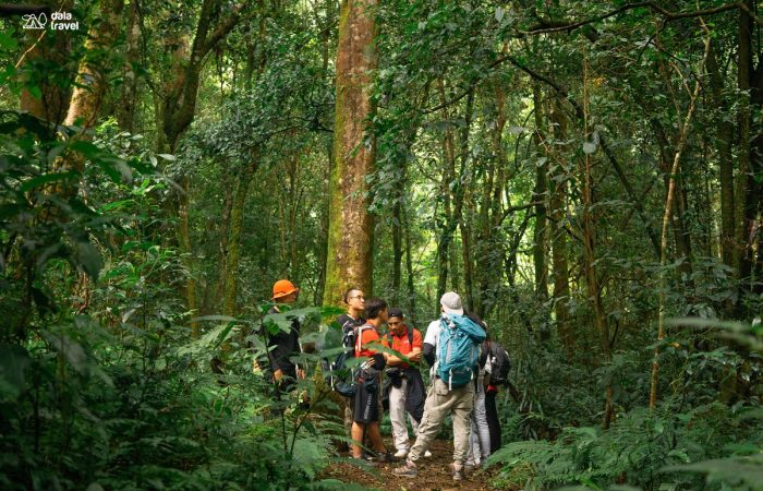 11Trekking Langbiang Đà Lạt