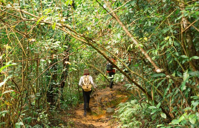 11Trekking Langbiang Đà Lạt