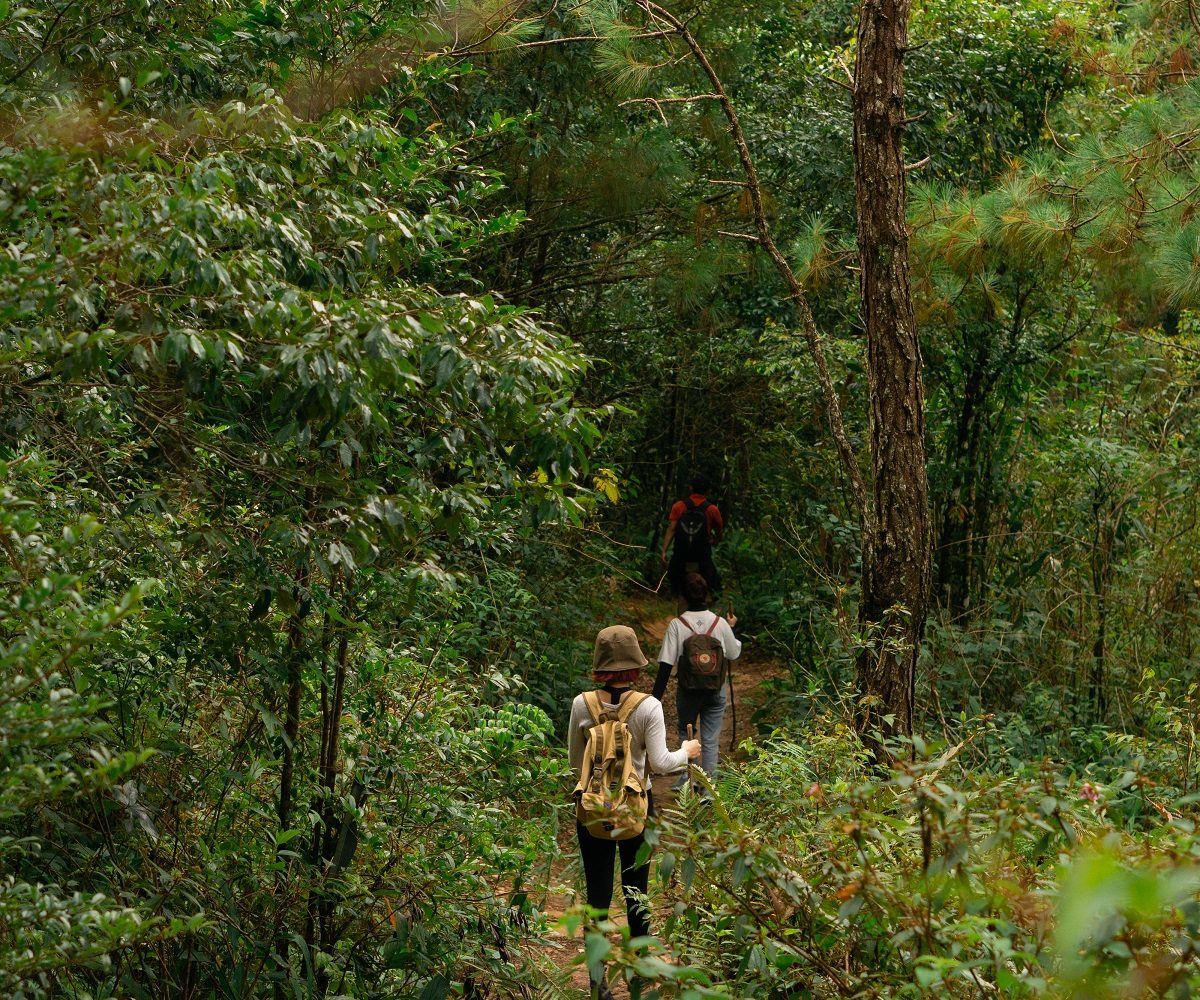 11Trekking Langbiang Đà Lạt