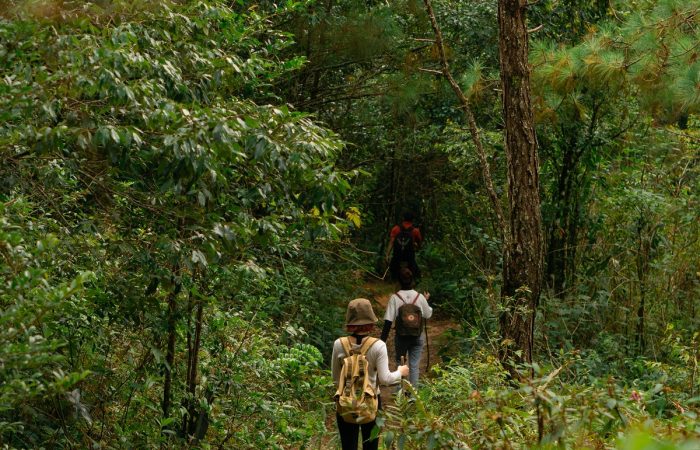 11Trekking Langbiang Đà Lạt