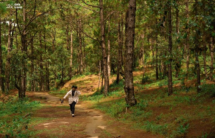 11Trekking Langbiang Đà Lạt