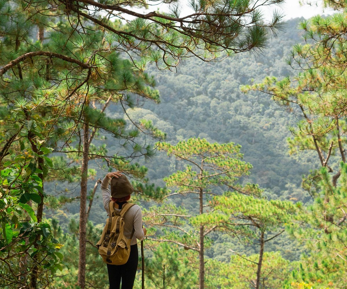 11Trekking Langbiang Đà Lạt