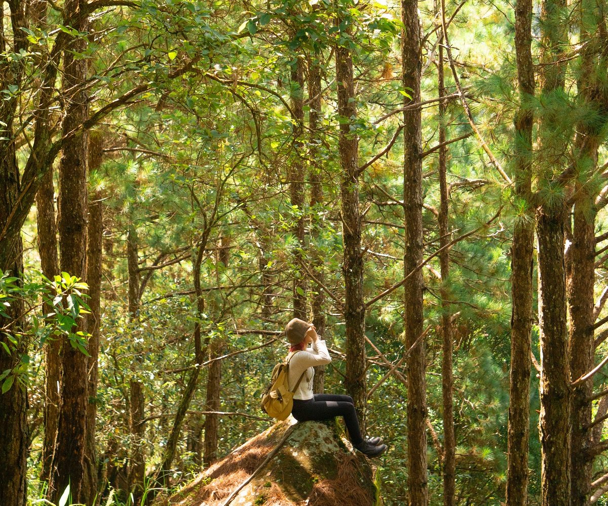 11Trekking Langbiang Đà Lạt