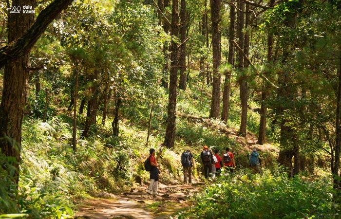 11Trekking Langbiang Đà Lạt