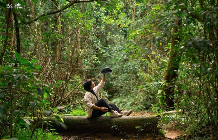 11Trekking Langbiang Đà Lạt