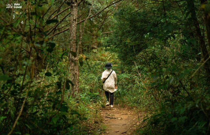 11Trekking Langbiang Đà Lạt